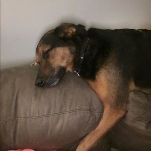 Meet your Posher, Jan